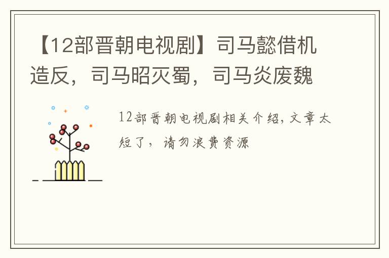【12部晋朝电视剧】司马懿借机造反，司马昭灭蜀，司马炎废魏帝建立晋朝