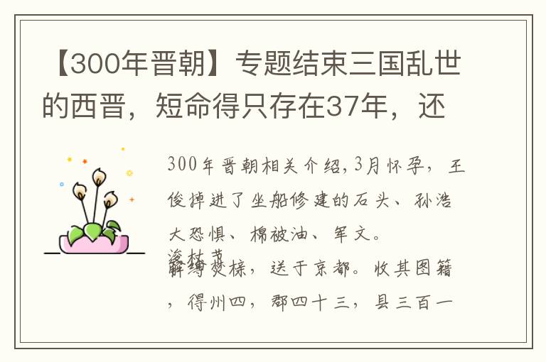 【300年晋朝】专题结束三国乱世的西晋，短命得只存在37年，还引起近300年的大分裂