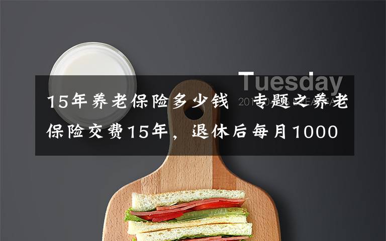 15年养老保险多少钱 专题之养老保险交费15年,退休后每月1000元左右,还会有哪些待遇?