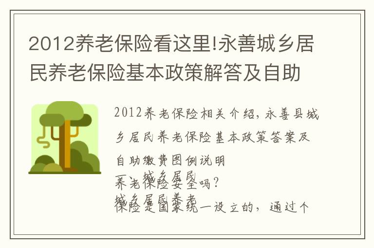2012养老保险看这里!永善城乡居民养老保险基本政策解答及自助缴费的那些事儿，这份指南都说全了！