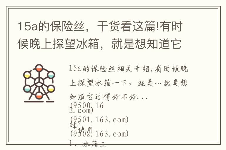15a的保险丝,干货看这篇!有时候晚上探望冰箱,就是想知道它过得好不好