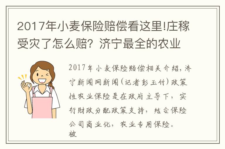 2017年小麦保险赔偿看这里!庄稼受灾了怎么赔?济宁最全的农业保险目录在这里!