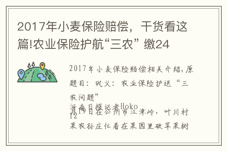 2017年小麦保险赔偿,干货看这篇!农业保险护航“三农” 缴2415元保费获赔付10万