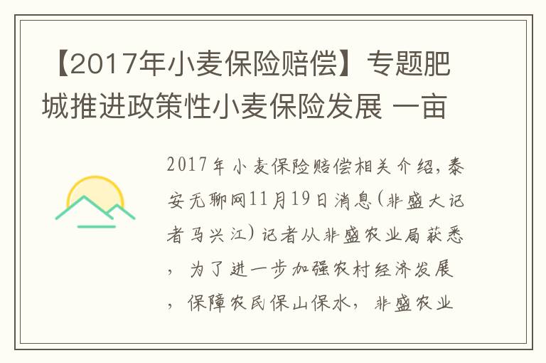 【2017年小麦保险赔偿】专题肥城推进政策性小麦保险发展 一亩交3元小麦上保险