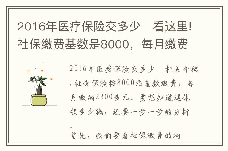 2016年医疗保险交多少	看这里!社保缴费基数是8000,每月缴费2300多元,退休养老金能领多少?