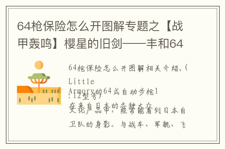 64枪保险怎么开图解专题之【战甲轰鸣】樱星的旧剑——丰和64式自动步枪小史