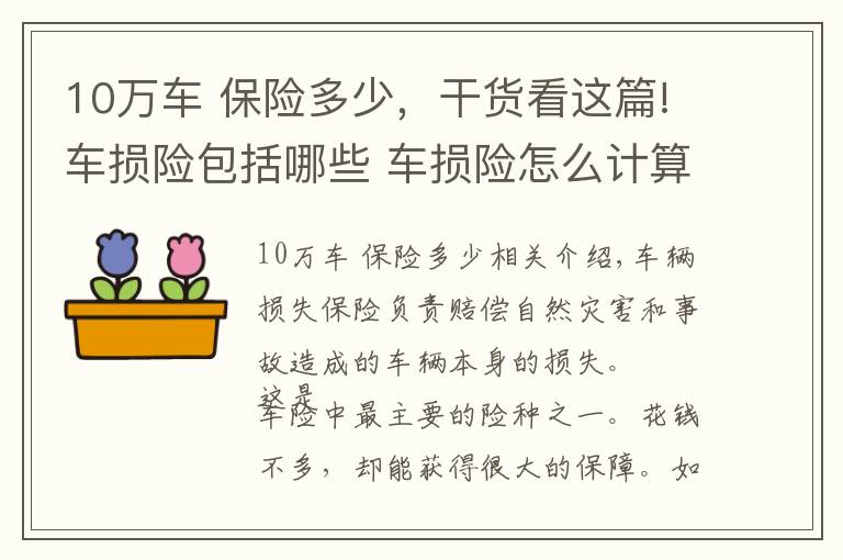10万车 保险多少,干货看这篇!车损险包括哪些 车损险怎么计算价格