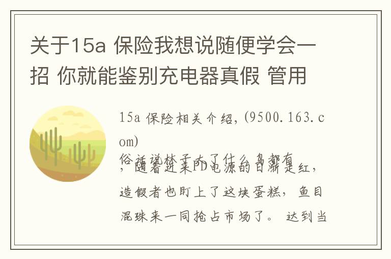关于15a 保险我想说随便学会一招 你就能鉴别充电器真假 管用
