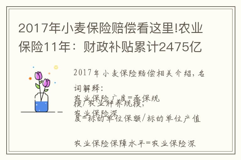2017年小麦保险赔偿看这里!农业保险11年:财政补贴累计2475亿元,2018年赔付率高达73.49%