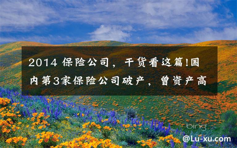 2014 保险公司,干货看这篇!国内第3家保险公司破产,曾资产高达2万亿元,客户的保单怎么办?