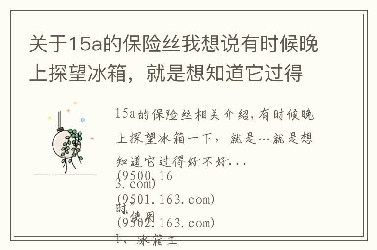 关于15a的保险丝我想说有时候晚上探望冰箱,就是想知道它过得好不好