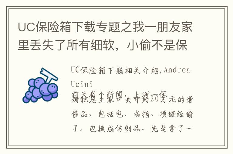 UC保险箱下载专题之我一朋友家里丢失了所有细软,小偷不是保姆,是保姆的儿子