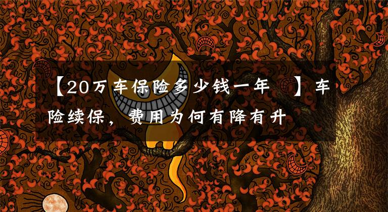 【20万车保险多少钱一年 】车险续保,费用为何有降有升