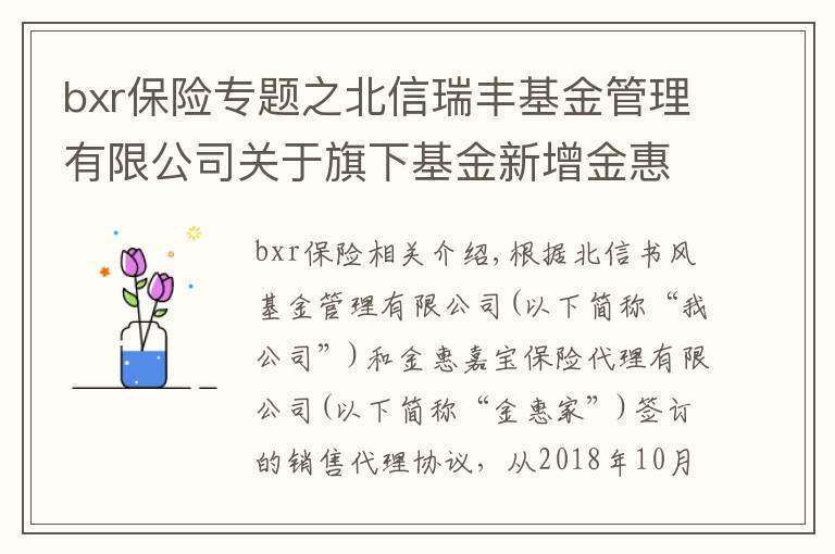 bxr保险专题之北信瑞丰基金管理有限公司关于旗下基金新增金惠家保险代理有限公司为基金代销机构的公告