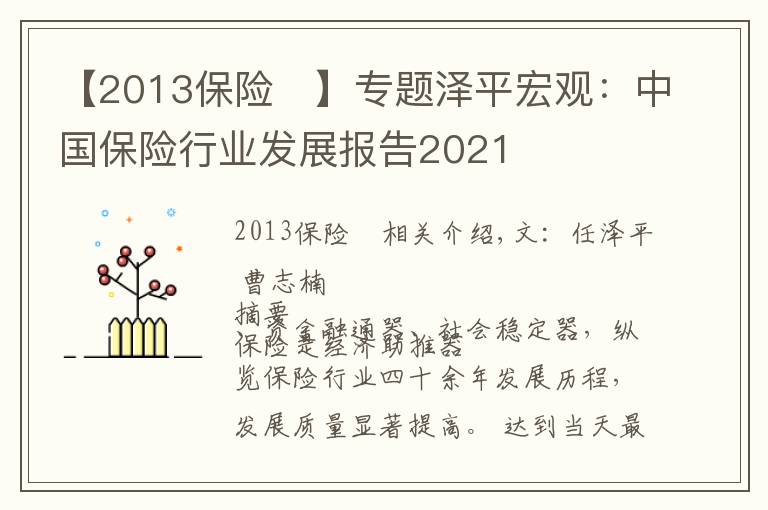 【2013保险	】专题泽平宏观:中国保险行业发展报告2021