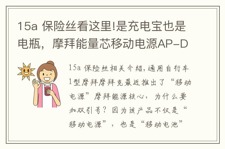 15a 保险丝看这里!是充电宝也是电瓶，摩拜能量芯移动电源AP-D071A0拆解测试