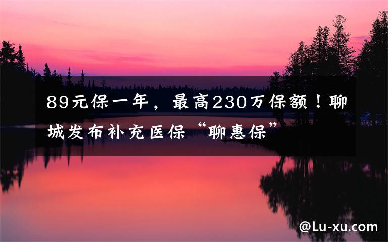 89元保一年，最高230万保额！聊城发布补充医保“聊惠保”