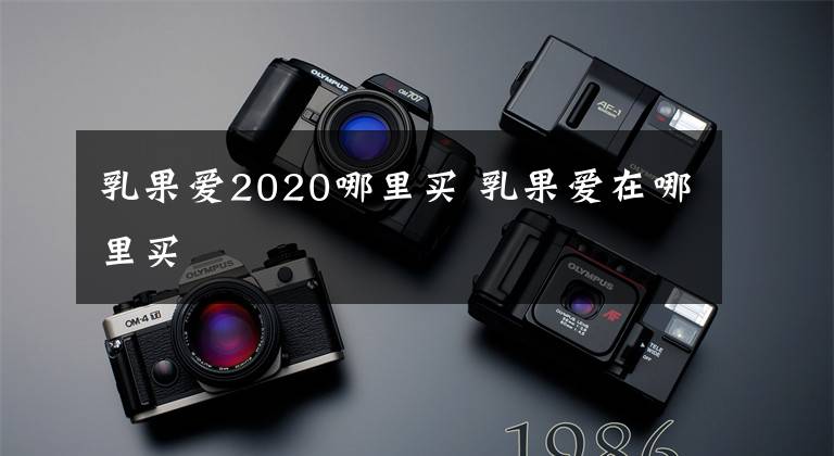 乳果爱2020哪里买 乳果爱在哪里买