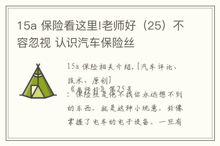 15a 保险看这里!老师好(25)不容忽视 认识汽车保险丝