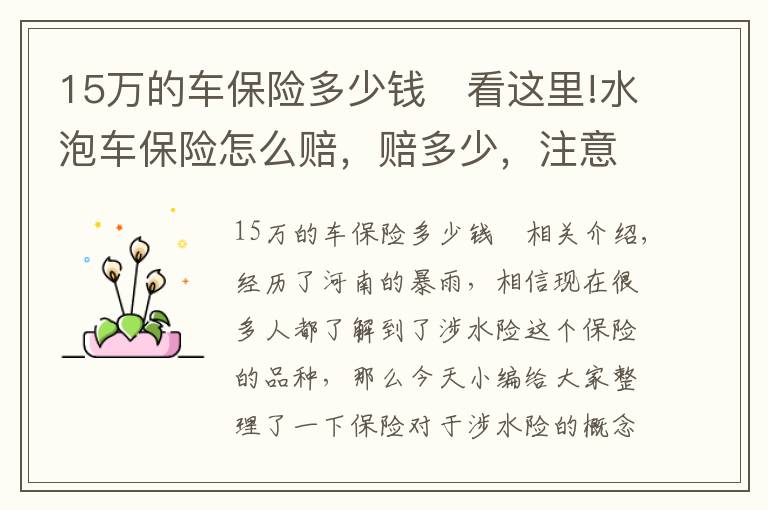 15万的车保险多少钱 看这里!水泡车保险怎么赔，赔多少，注意事项是什么