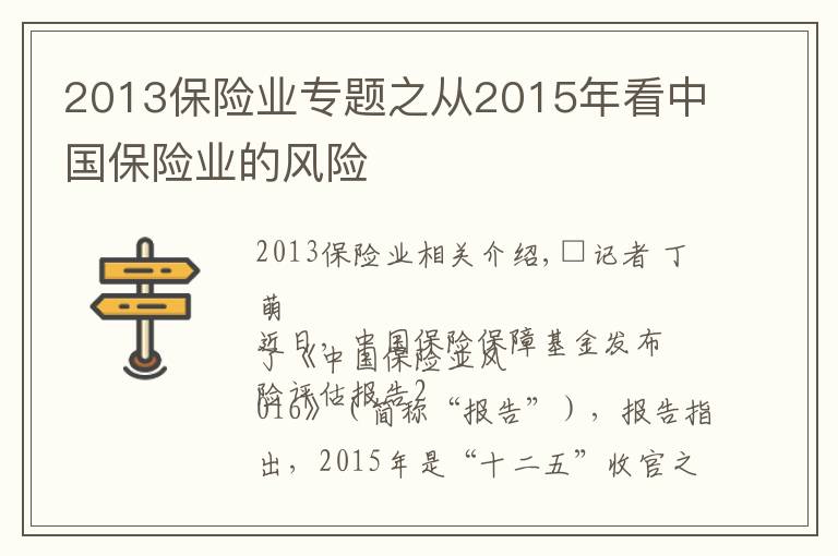 2013保险业专题之从2015年看中国保险业的风险