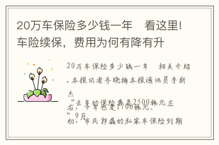 20万车保险多少钱一年	看这里!车险续保,费用为何有降有升