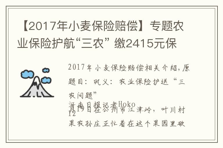 【2017年小麦保险赔偿】专题农业保险护航“三农” 缴2415元保费获赔付10万