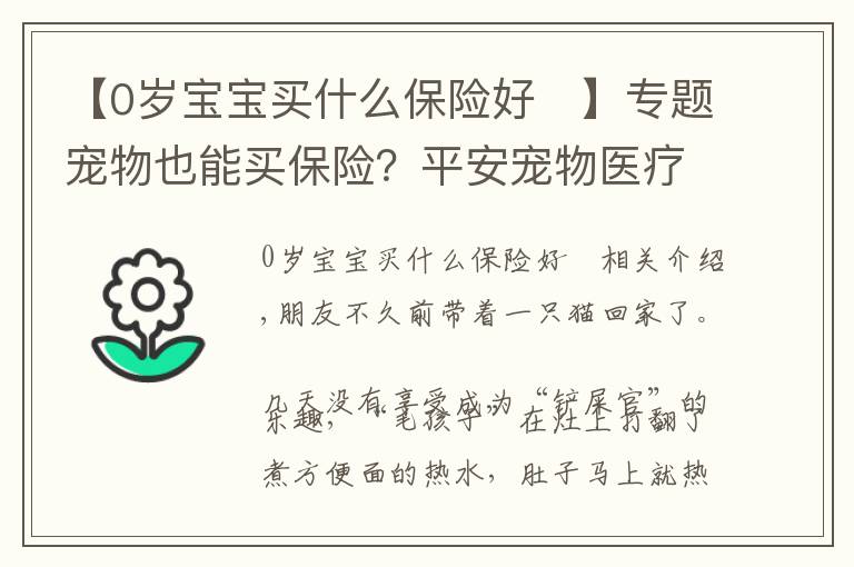 【0岁宝宝买什么保险好	】专题宠物也能买保险？平安宠物医疗险最低248元，铲屎官别错过
