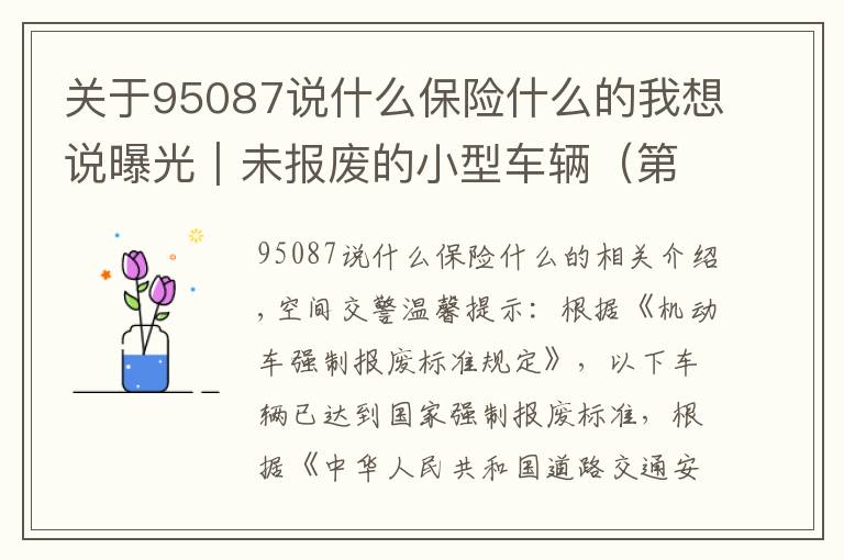 关于95087说什么保险什么的我想说曝光｜未报废的小型车辆（第七期）