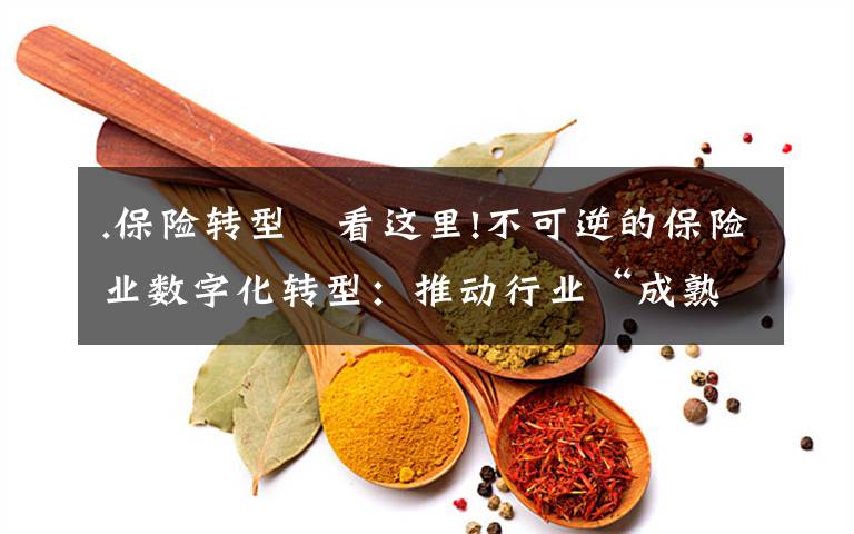 .保险转型 看这里!不可逆的保险业数字化转型:推动行业“成熟”,需紧盯网络安全