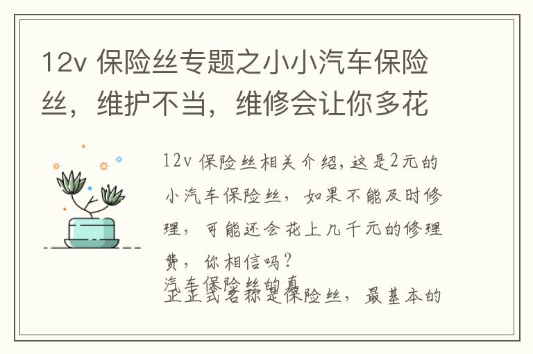 12v 保险丝专题之小小汽车保险丝,维护不当,维修会让你多花几千块?