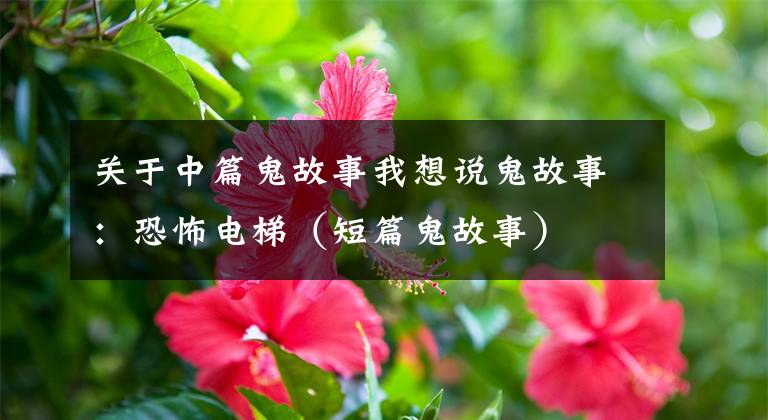 关于中篇鬼故事我想说鬼故事:恐怖电梯(短篇鬼故事)