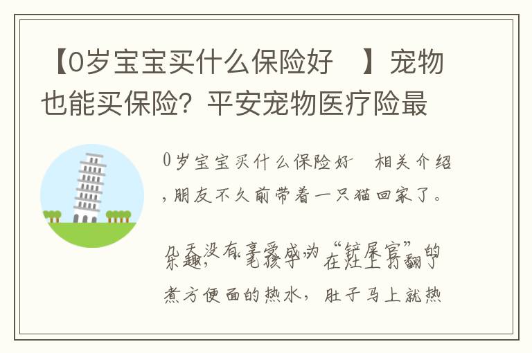 【0岁宝宝买什么保险好	】宠物也能买保险？平安宠物医疗险最低248元，铲屎官别错过