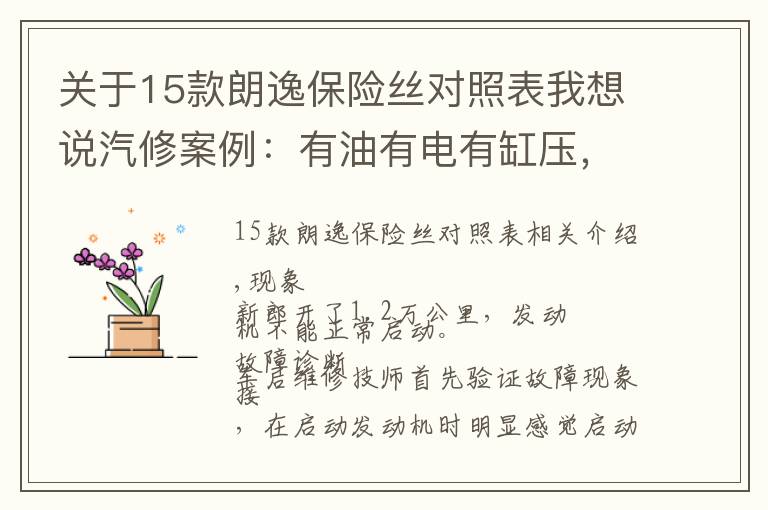 关于15款朗逸保险丝对照表我想说汽修案例:有油有电有缸压,深度分析全新朗逸为啥无法启动?