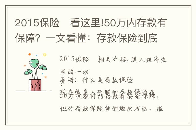 2015保险	看这里!50万内存款有保障？一文看懂：存款保险到底是什么？谁在管理，如何运作？