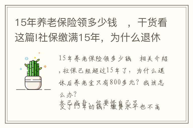 15年养老保险领多少钱	,干货看这篇!社保缴满15年,为什么退休后的养老金才800多元?应该怎么办?