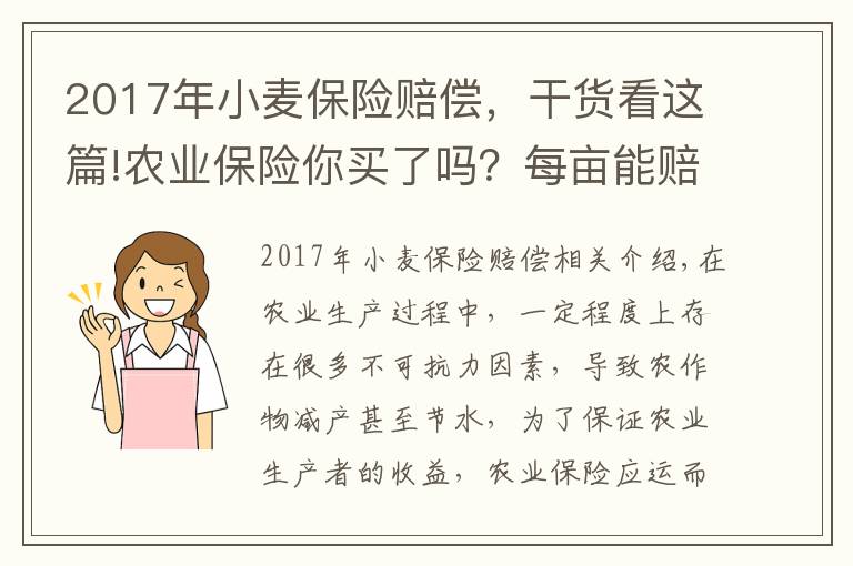 2017年小麦保险赔偿,干货看这篇!农业保险你买了吗?每亩能赔多少钱?