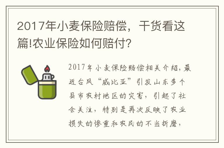 2017年小麦保险赔偿，干货看这篇!农业保险如何赔付？