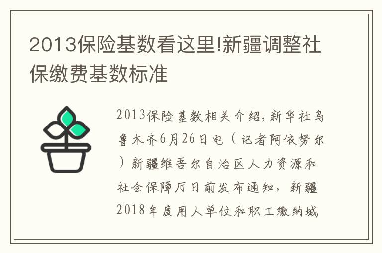 2013保险基数看这里!新疆调整社保缴费基数标准
