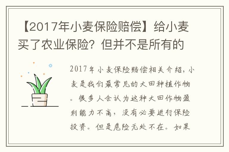 【2017年小麦保险赔偿】给小麦买了农业保险?但并不是所有的灾害都能要到索赔!