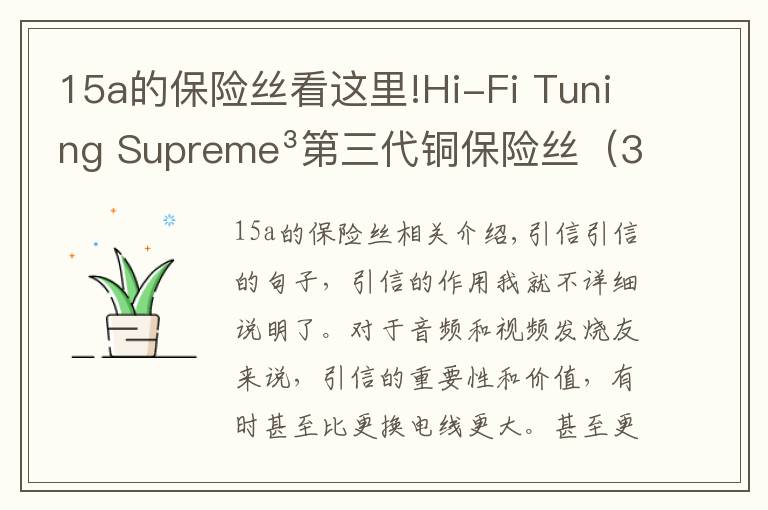 15a的保险丝看这里!Hi-Fi Tuning Supreme³第三代铜保险丝(3.15A)
