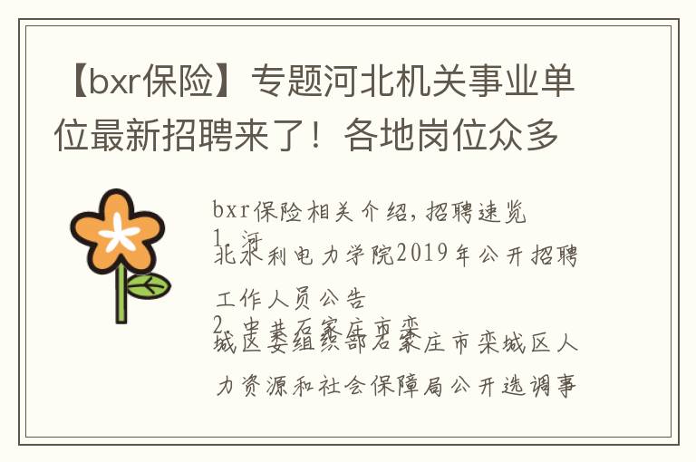 【bxr保险】专题河北机关事业单位最新招聘来了!各地岗位众多,抓紧报名