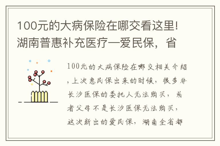 100元的大病保险在哪交看这里!湖南普惠补充医疗—爱民保,省内均可购买