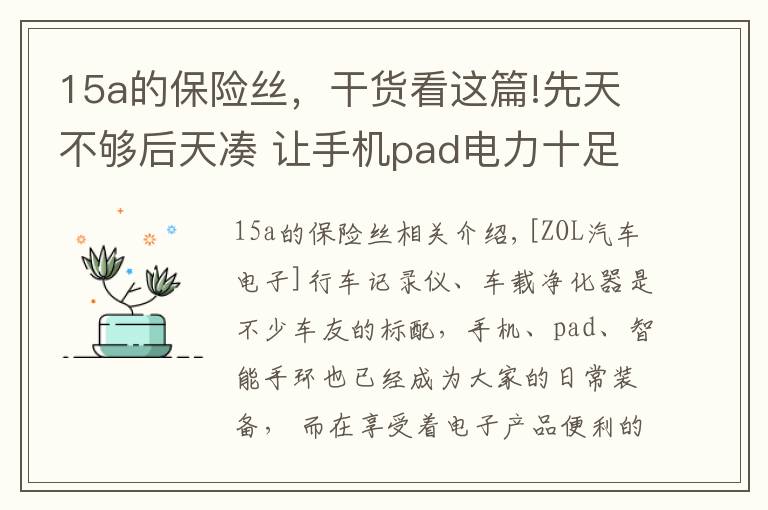 15a的保险丝,干货看这篇!先天不够后天凑 让手机pad电力十足的车充推荐
