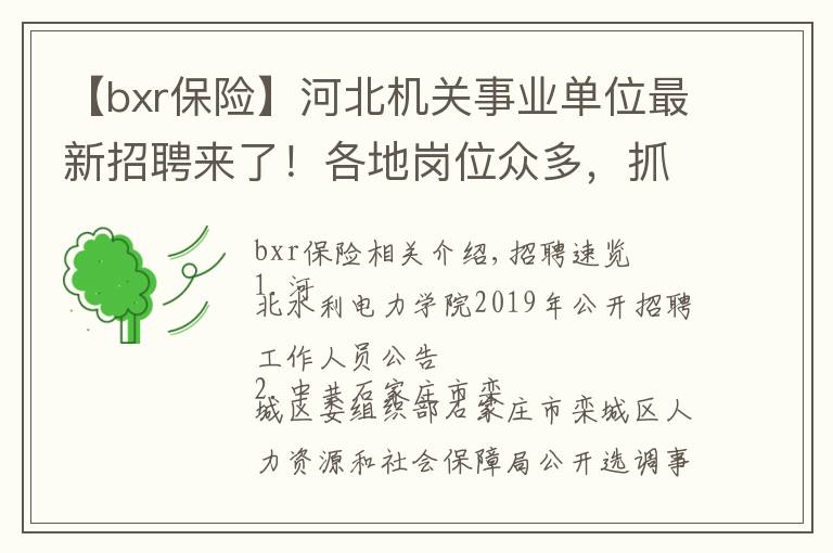【bxr保险】河北机关事业单位最新招聘来了!各地岗位众多,抓紧报名