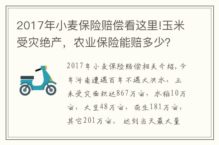 2017年小麦保险赔偿看这里!玉米受灾绝产，农业保险能赔多少？什么是完全赔付？最高能赔多少