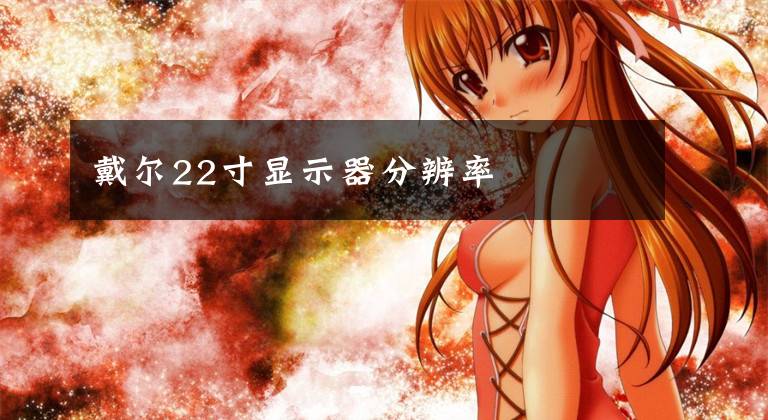 戴尔22寸显示器分辨率