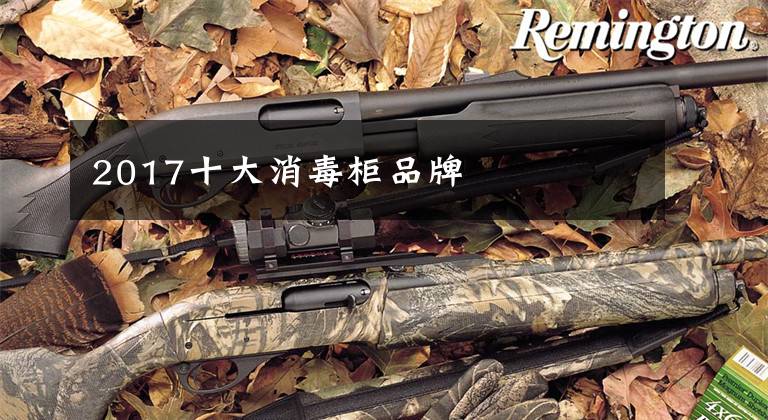 2017十大消毒柜品牌