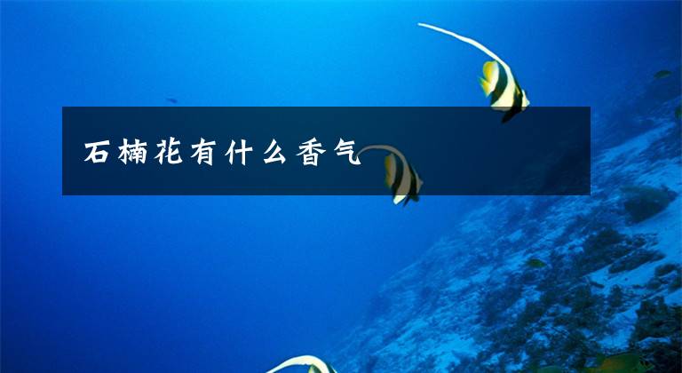 石楠花有什么香气