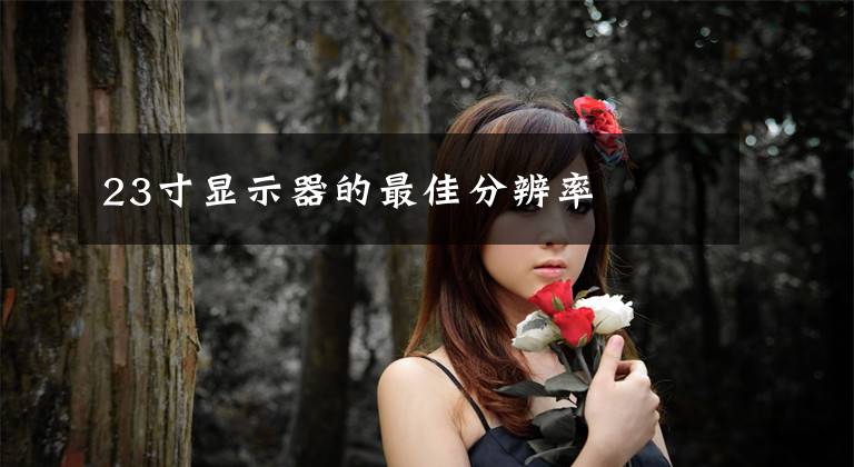 23寸显示器的最佳分辨率